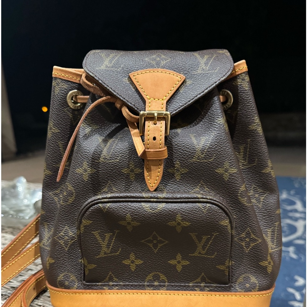 Louis Vuitton Montsouris PM